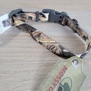 Coastal Water And Woods Dog Collar Size S Small 10" - 14" Mossy Oak Camo NEW